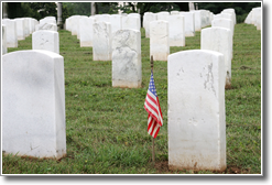 Memorial Day 2013 Cemetary and American Flag