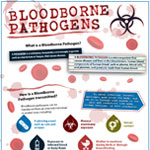 Bloodborne Pathogens Infographic