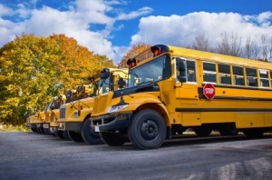 School Bus Driver Drought