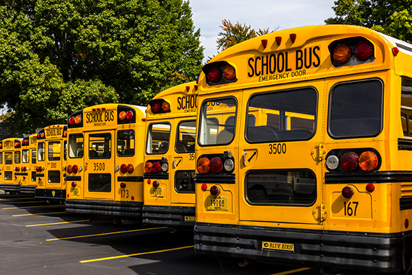 Row of school buses