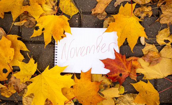 November