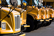 School Buses