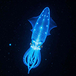 Bioluminescant squid